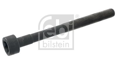 Болт головки цилиндра FEBI BILSTEIN 05609