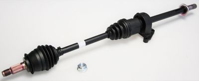 Piedziņas vārpsta LÖBRO 306674