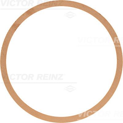 Blīve, Motora bloka galva VICTOR REINZ 61-42500-00