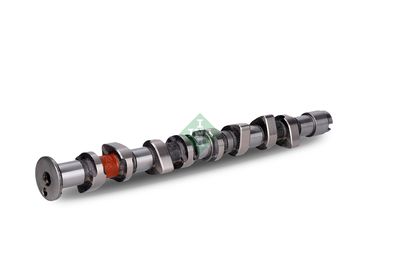 Распредвал Schaeffler INA 428 0162 10