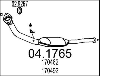 Катализатор MTS 04.1765