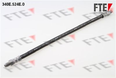 Тормозной шланг FTE 9741022