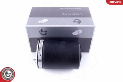 Pneimoatspere, Balstiekārta ESEN SKV 58SKV002