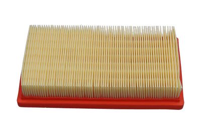 Воздушный фильтр KAVO PARTS FAF-10184