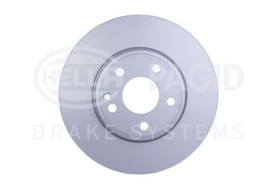 Bremžu diski HELLA PAGID 8DD 355 119-411