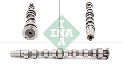 Распредвал Schaeffler INA 428 0172 10