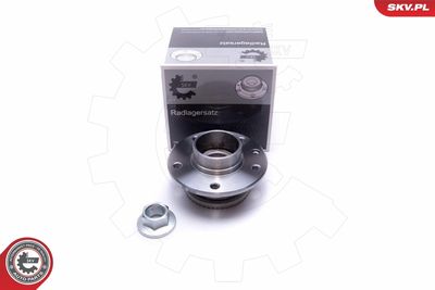 Комплект подшипника ступицы колеса ESEN SKV 29SKV521