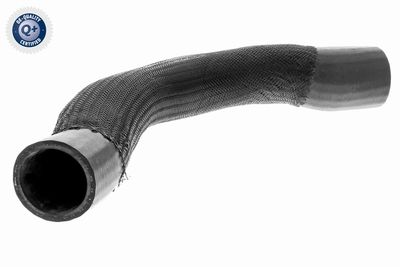 Трубка нагнетаемого воздуха VAICO V10-3795