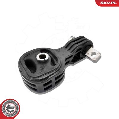 Piekare, Dzinējs ESEN SKV 75SKV313