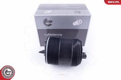 Pneimoatspere, Balstiekārta ESEN SKV 58SKV032