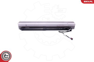 Электромотор, задняя дверь ESEN SKV 52SKV909