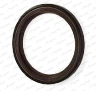 Уплотняющее кольцо, распределительный вал PAYEN NA5317