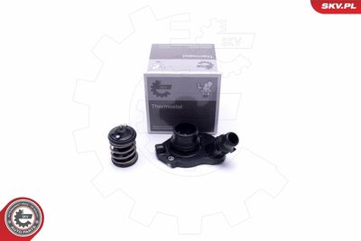 Termostats, Dzesēšanas šķidrums ESEN SKV 20SKV136