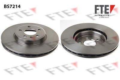 Тормозной диск FTE 9071011