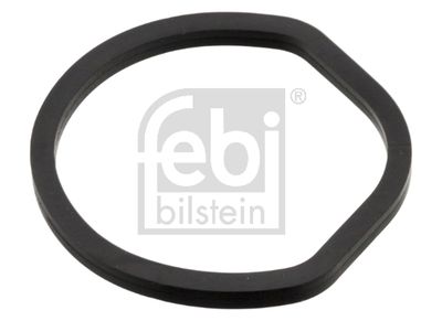 Blīve, Eļļas filtra korpuss FEBI BILSTEIN 173982