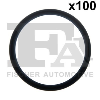 Уплотнительное кольцо FA1 076.795.100