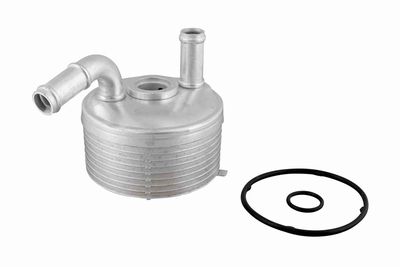 Eļļas radiators, Automātiskā pārnesumkārba VEMO V20-60-1560