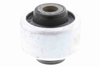 Piekare, Šķērssvira VAICO V42-0487