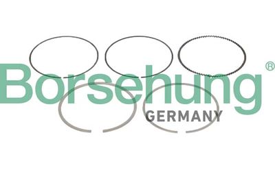 Virzuļa gredzenu komplekts BORSEHUNG B10361