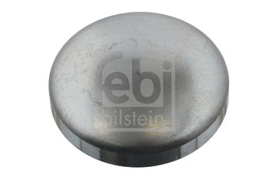 Пробка антифриза FEBI BILSTEIN 31794