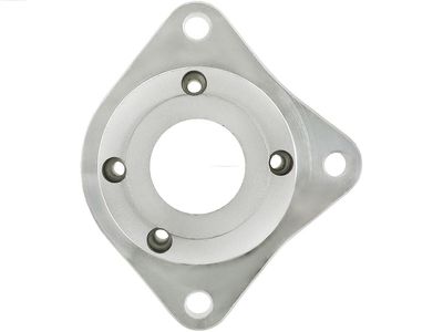 Крышка стартера, карбюратор AS-PL SBR9004