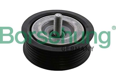 Parazīt-/Vadrullītis, Ķīļrievu siksna Borsehung B12575