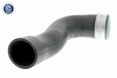 Pūtes sistēmas gaisa caurule VAICO V103769