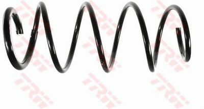 Balstiekārtas atspere TRW JCS567