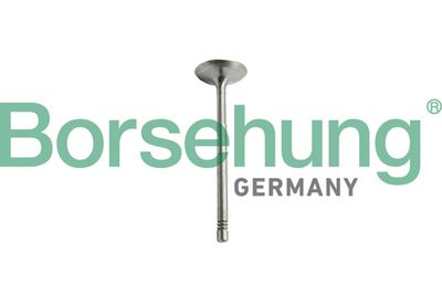 Выпускной клапан Borsehung B10344