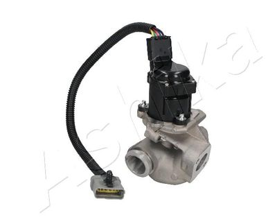 Клапан возврата ОГ ASHIKA 150-00-0306