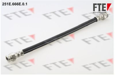 Bremžu šļūtene FTE 9240410