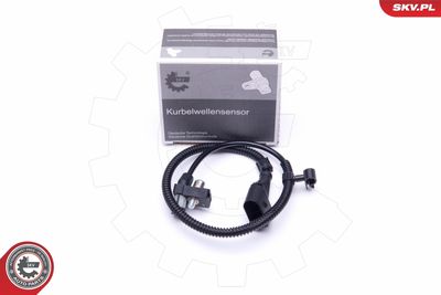 Датчик импульсов ESEN SKV 17SKV277