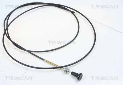 TRISCAN 814091004 Gaisa vārsta vārpsta, Karburators
