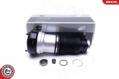 Опора пневматической рессоры ESEN SKV 58SKV065