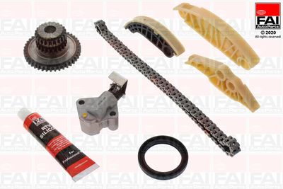 Sadales vārpstas piedziņas ķēdes komplekts FAI AutoParts TCK181