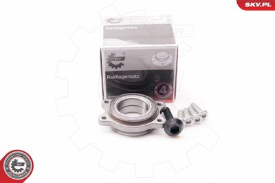 Комплект подшипника ступицы колеса ESEN SKV 29SKV087