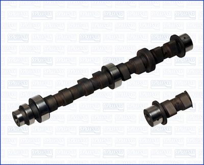 Sadales vārpsta AJUSA 93171700