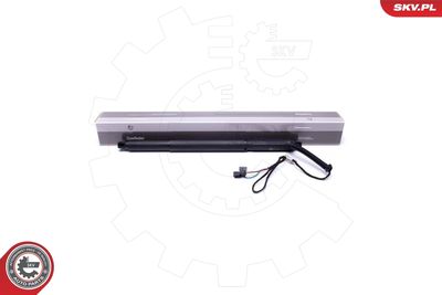 Электромотор, задняя дверь ESEN SKV 52SKV925