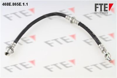Тормозной шланг FTE 9240665