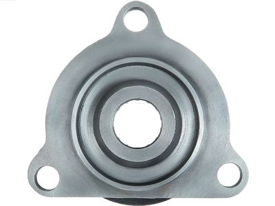 Крышка стартера, карбюратор AS-PL SBR0038