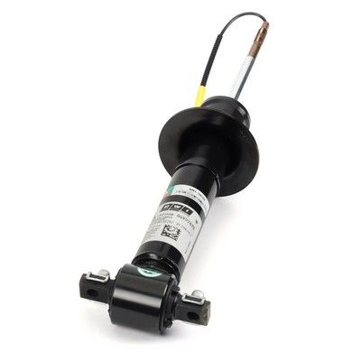 Amortizators Arnott MR-3839