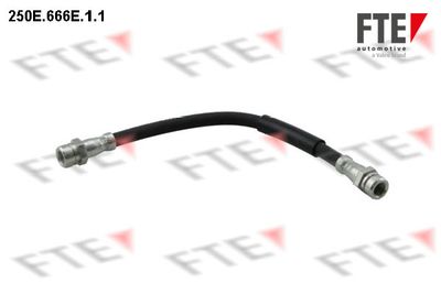 Bremžu šļūtene FTE 9240409