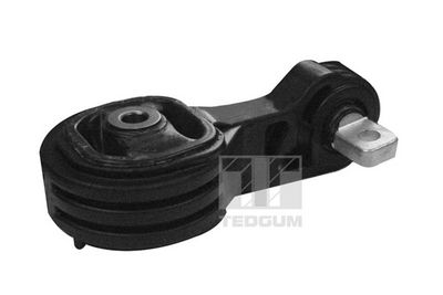 Подвеска, двигатель TEDGUM 00269388