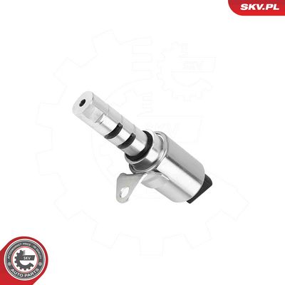 Регулирующий клапан, выставление распределительного вала ESEN SKV 39SKV087