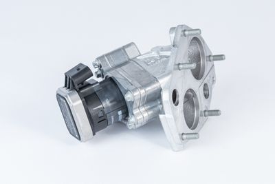 Izpl. gāzu recirkulācijas vārsts BorgWarner 710072D