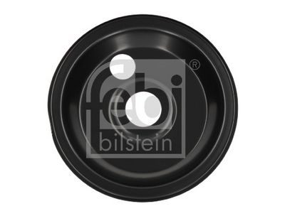 Dubļu sargs, Bremžu disks FEBI BILSTEIN 196903