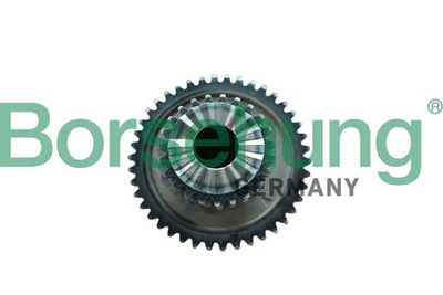 Sadales vārpstas piedziņas ķēde Borsehung B12746