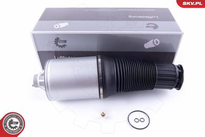 Pneimoatspere, Balstiekārta ESEN SKV 58SKV034