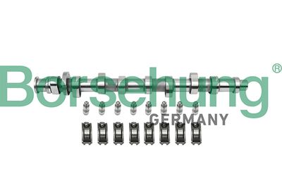 Ремкомплект, промежуточный вал BORSEHUNG B18859