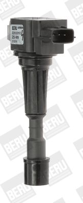 Катушка зажигания BorgWarner (BERU) ZS489